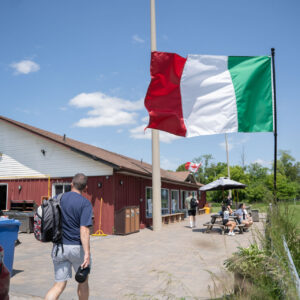_DSC7981